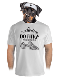 pánské sportovní tričko