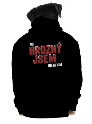 pánská mikina na zip