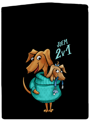 Jsem dva v jednom pánská mikina na zip Black