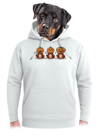 unisex mikina premium