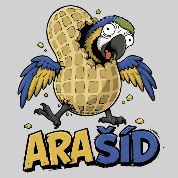 Ara-Šíd