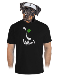 pánské sportovní tričko