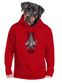 pánská mikina klokanka