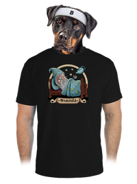 pánské sportovní tričko