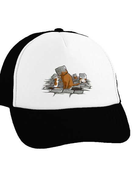 Kočičí hlavy kšiltovka truckerka Black cap