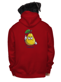 pánská mikina na zip