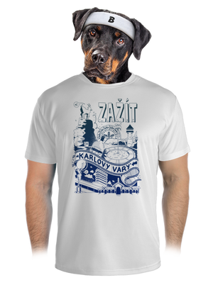 pánské sportovní tričko