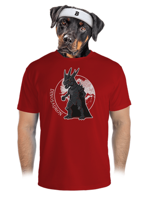 pánské sportovní tričko