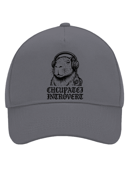 Chlupatej introvert kšiltovka baseballka Graphite grey