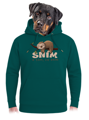 Sním o tom, co sním unisex mikina premium Emerald Green