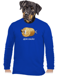 pánské dlouhý rukáv