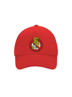 kšiltovka baseballka