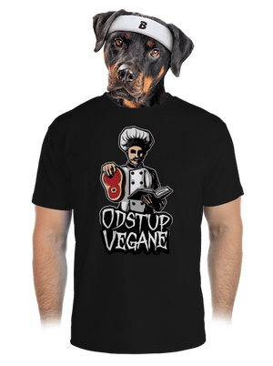 pánské sportovní tričko