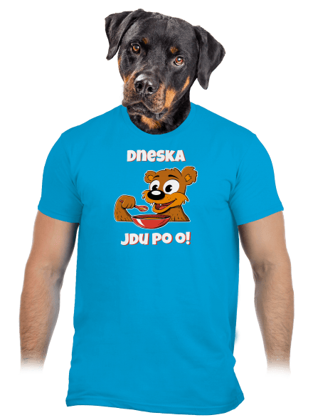 Dneska jdu po o pánské tričko Atoll
