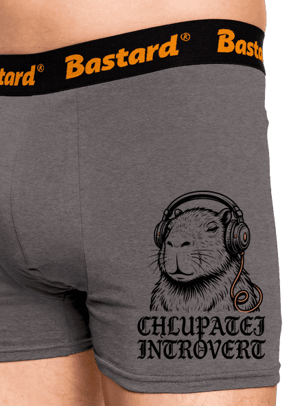Chlupatej introvert boxerky Gray Melange
