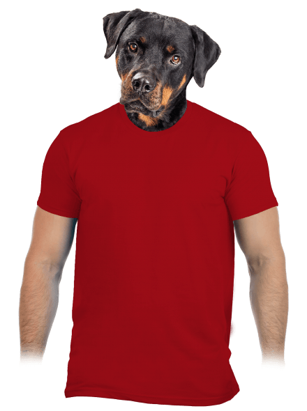 Bez potisku pánské tričko Red