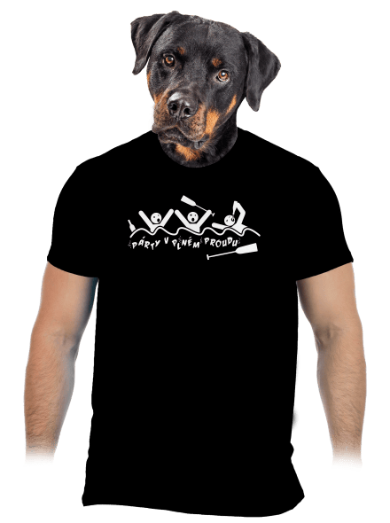 Party v plném proudu pánské tričko Black