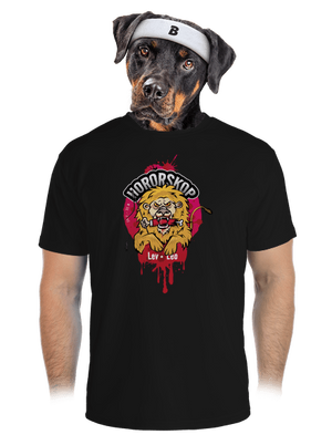 pánské sportovní tričko