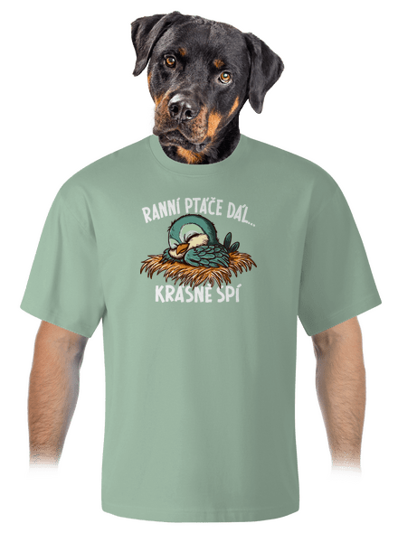Ranní ptáče spí unisex tričko oversized Sage