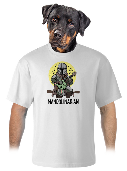 Mandolínarian unisex tričko oversized White
