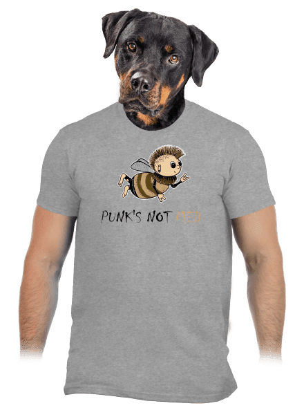 Punks Not Med pánské tričko Sport Grey