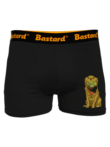 Zlatý retrívr boxerky Black