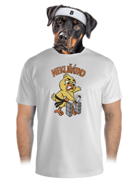 pánské sportovní tričko