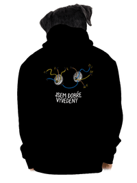 pánská mikina na zip