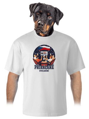 Přikázané uvolnění unisex tričko oversized White