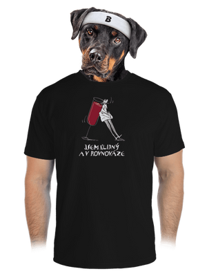 pánské sportovní tričko