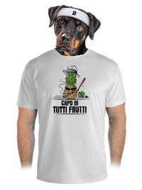 pánské sportovní tričko