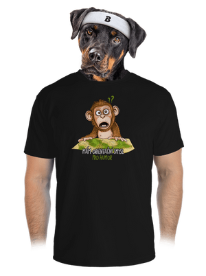 pánské sportovní tričko