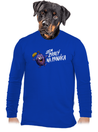 pánské dlouhý rukáv