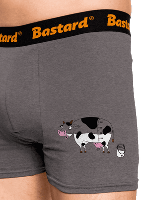 Kráva boxerky Gray Melange