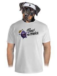 pánské sportovní tričko