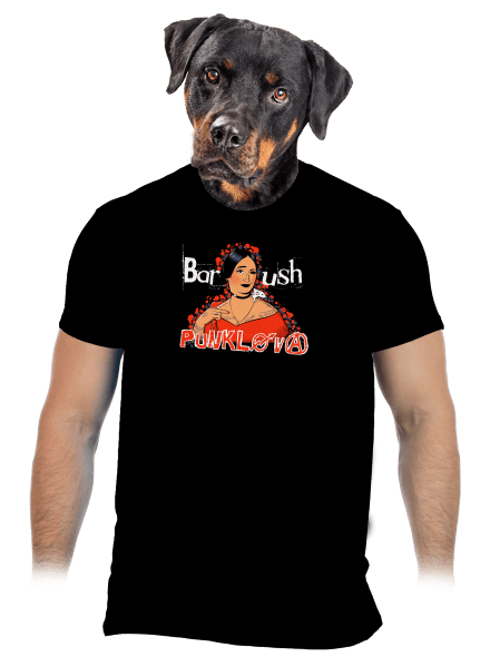Barush Punklova pánské tričko Black