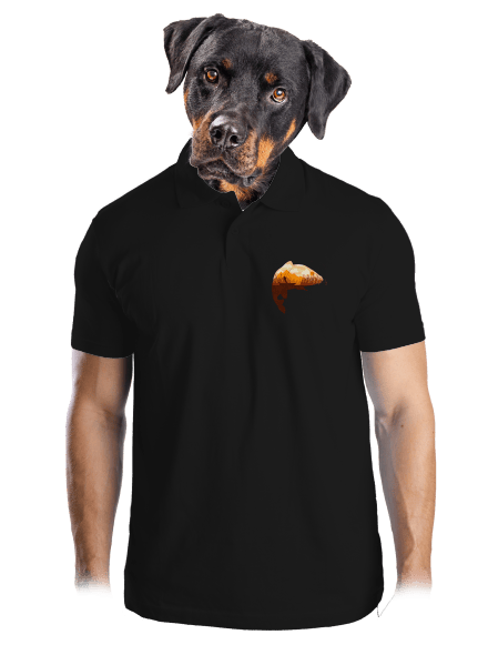 Kapitální úlovek pánská polokošile Black