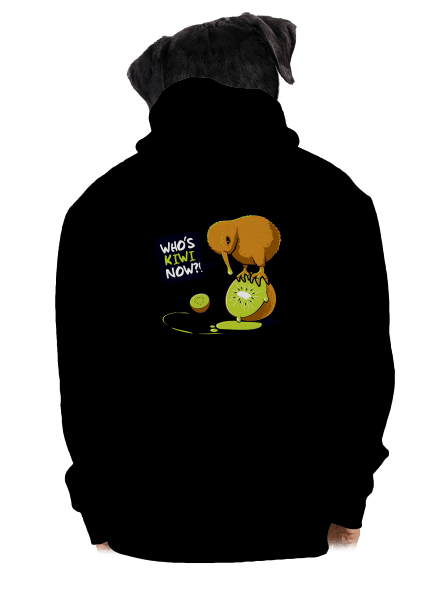 Kiwi pánská mikina na zip Black