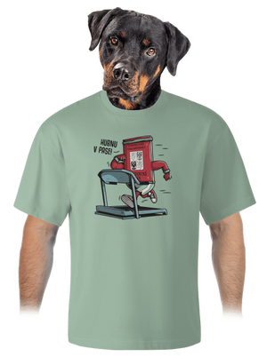 Hubnu v pase unisex tričko oversized Sage