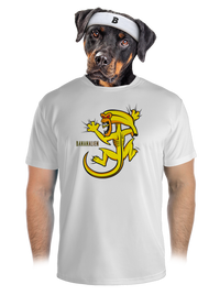 pánské sportovní tričko