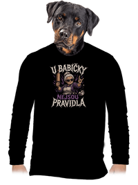 pánské dlouhý rukáv