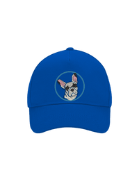 kšiltovka baseballka