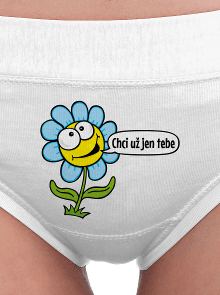 Chci už jen tebe dámské kalhotky White