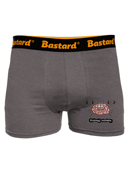 Trénuji mozek boxerky Gray Melange