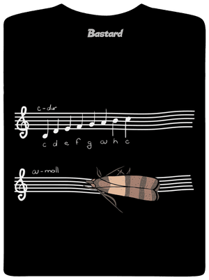 A - moll pánské dlouhý rukáv Black