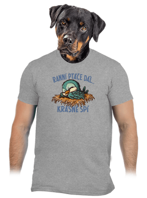 Ranní ptáče spí pánské tričko Sport Grey