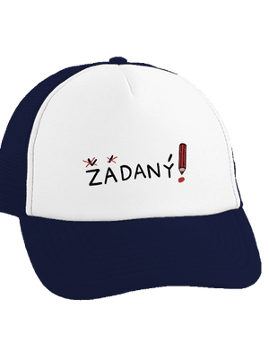 Zadaný a zadaná kšiltovka truckerka French Navy cap