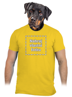 Vlastní potisk pánské tričko Gold