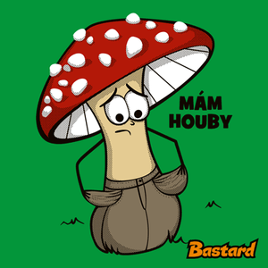 Mám houby