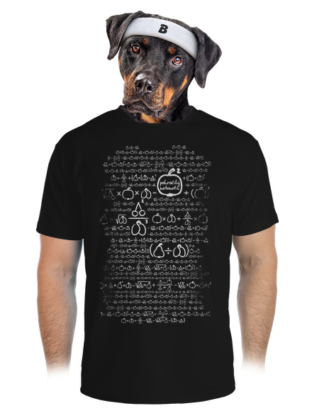 Matematik pánské sportovní tričko Black